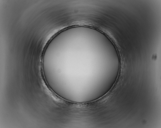 X0000115251040200911201638