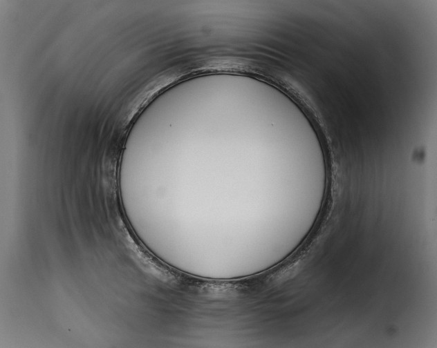 X0000115251041200911201638