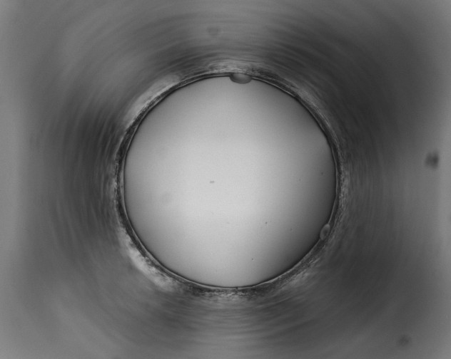 X0000115251042200911201638