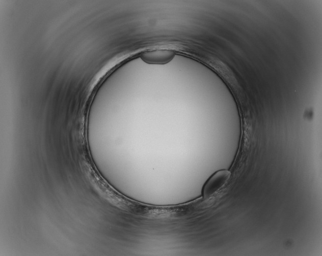 X0000115251044200911201638