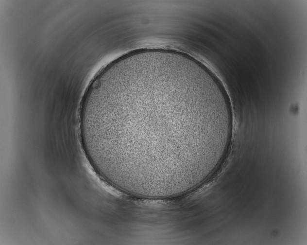 X0000115251045200911201638