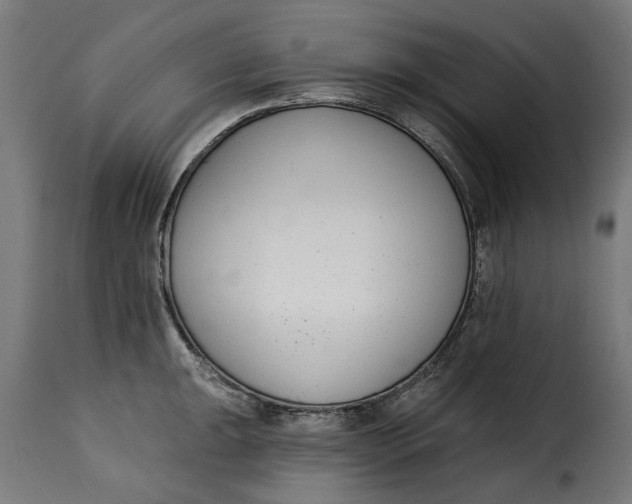 X0000115251047200911201638