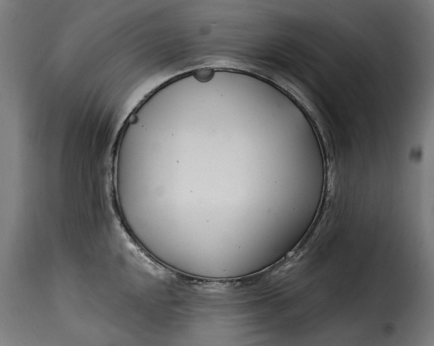 X0000115251048200911201638