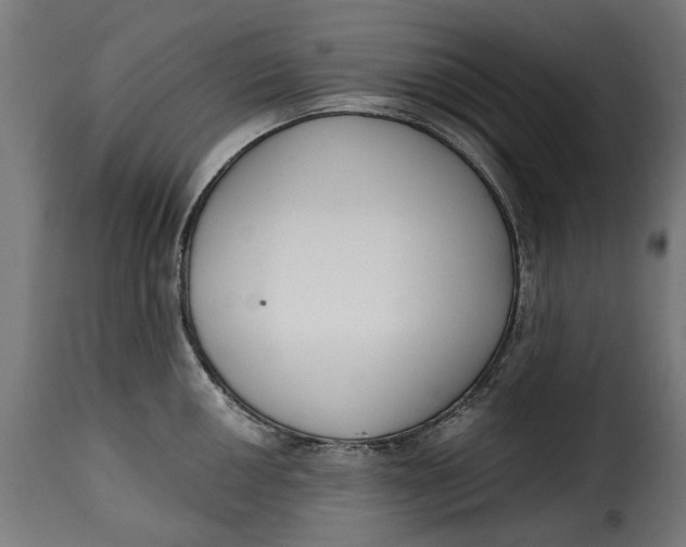 X0000115251050200911201638