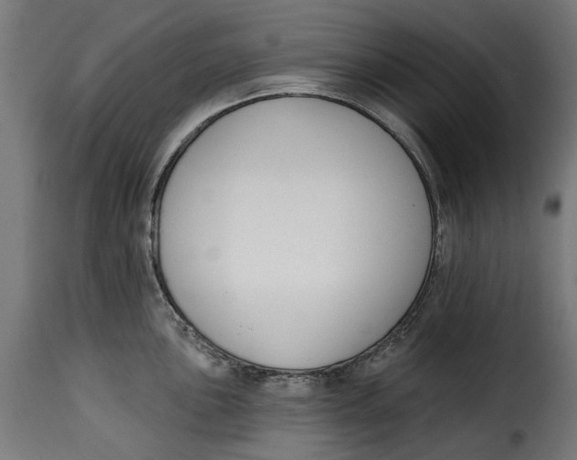 X0000115251051200911201638