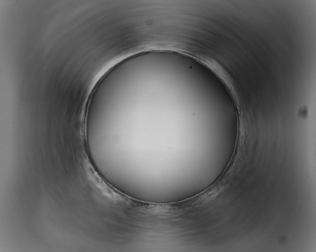 X0000115251052200911201638