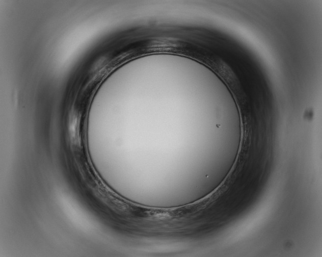 X0000115251054200911201638