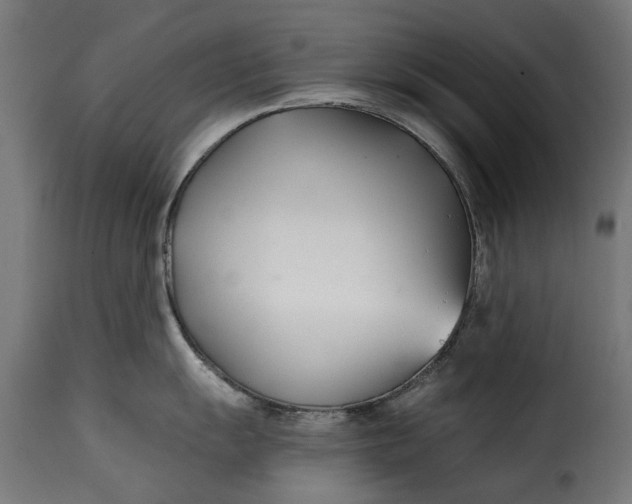 X0000115251055200911201638