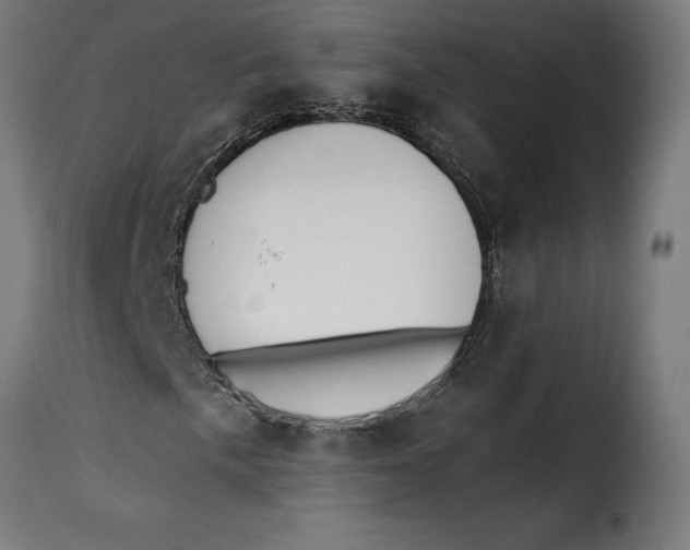 X0000115251057200911201637