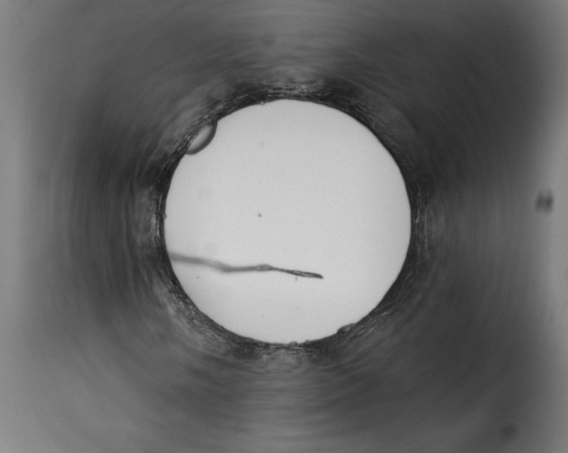 X0000115251058200911201637