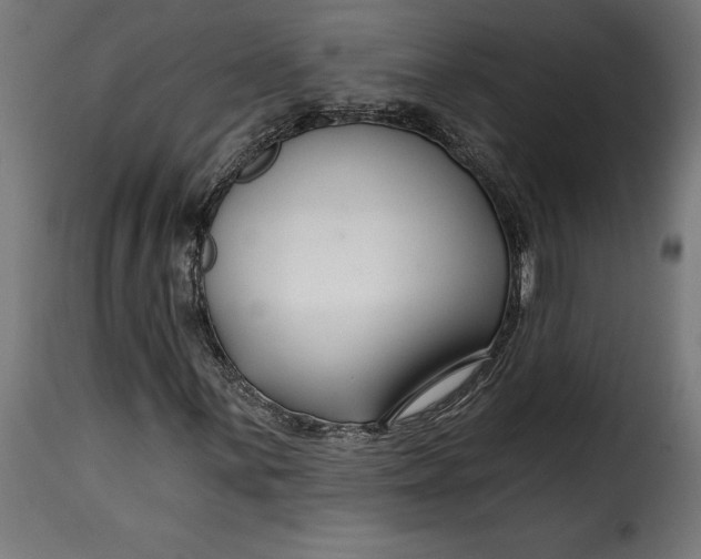 X0000115251059200911201637