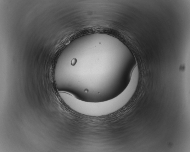 X0000115251060200911201637