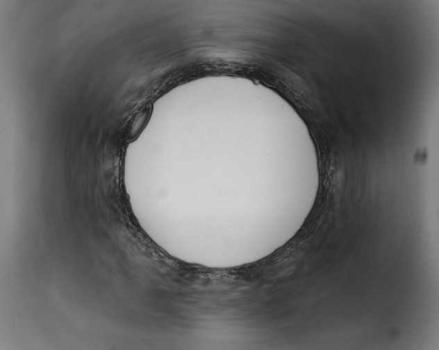 X0000115251061200911201637