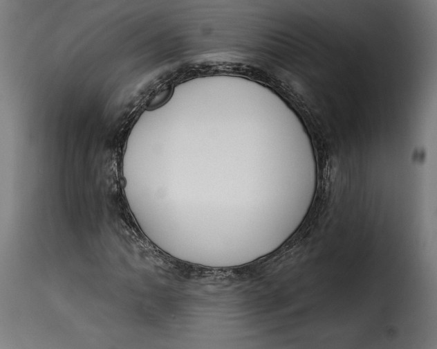 X0000115251062200911201637