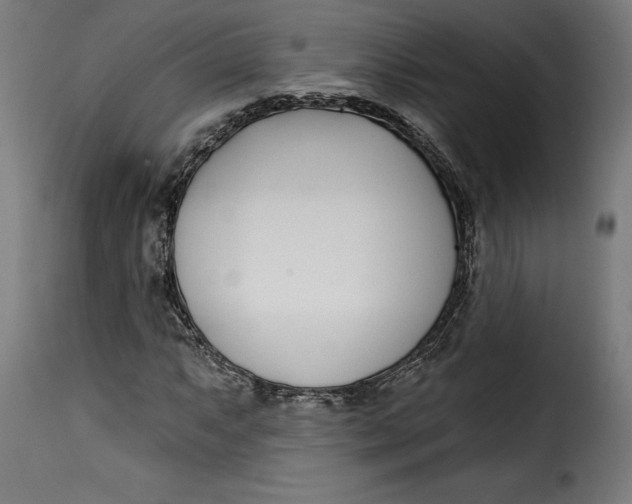 X0000115251063200911201637