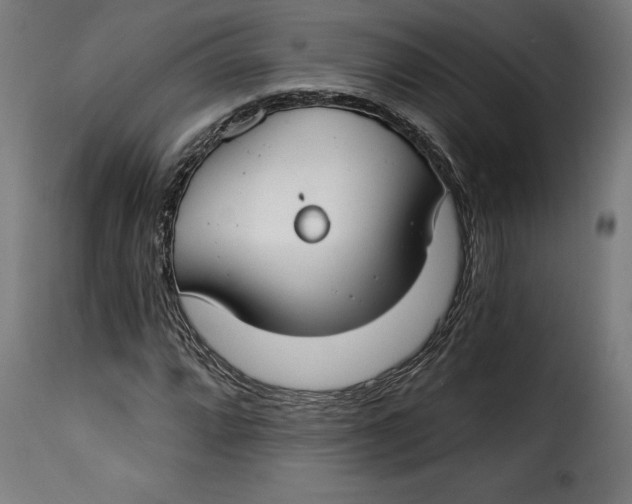 X0000115251064200911201637