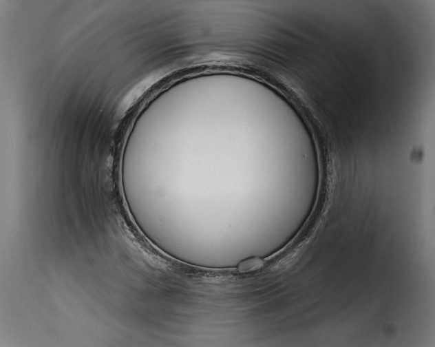 X0000115251066200911201637