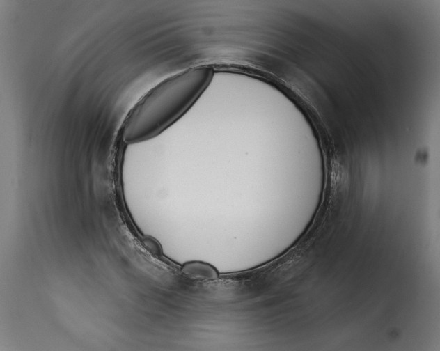 X0000115251068200911201637