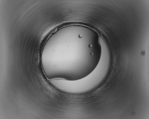 X0000115251069200911201637