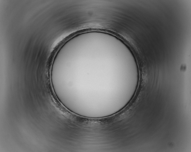 X0000115251070200911201637