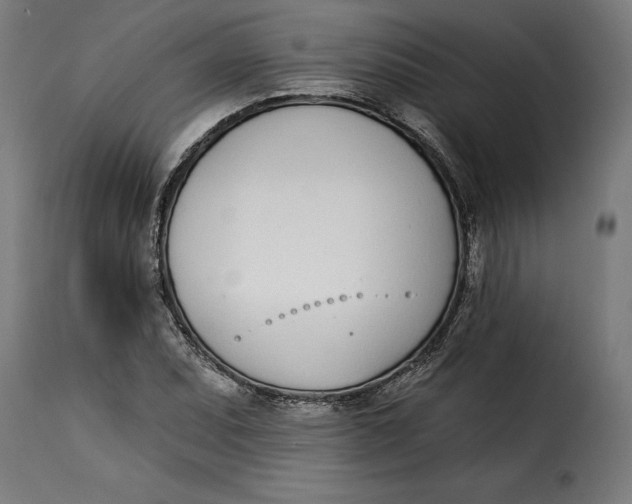 X0000115251071200911201637