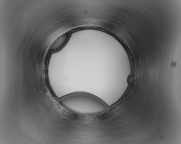 X0000115251072200911201637