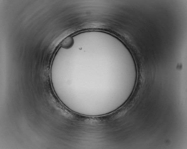 X0000115251073200911201637