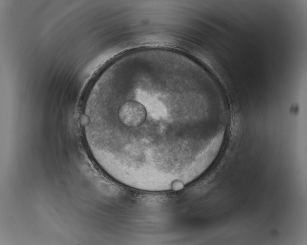 X0000115251074200911201637