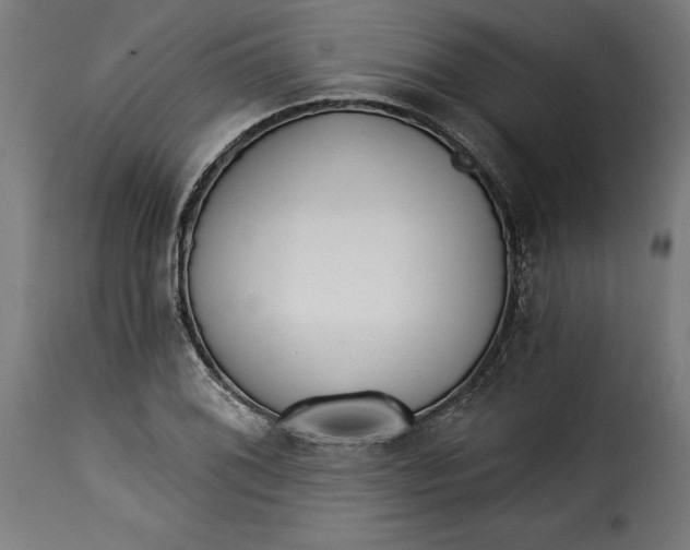 X0000115251076200911201637