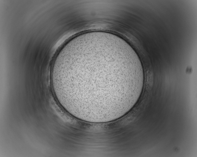 X0000115251078200911201637