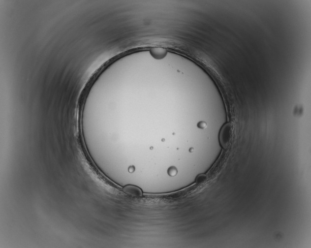 X0000115251079200911201637