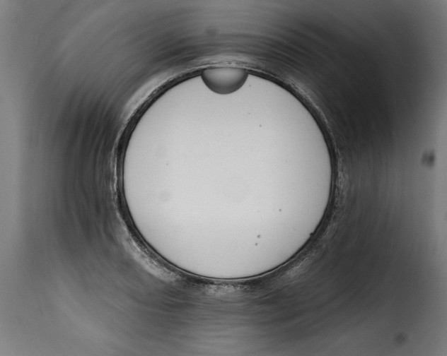 X0000115251082200911201637