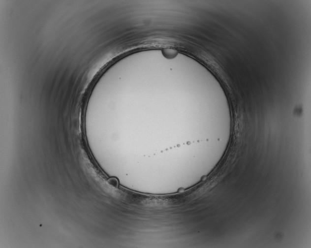 X0000115251083200911201637