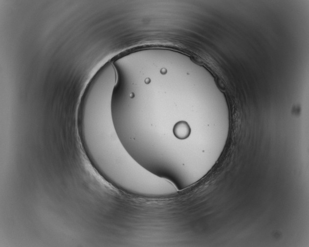 X0000115251084200911201637