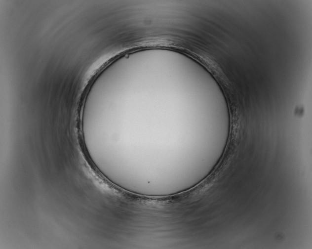 X0000115251086200911201637