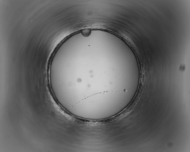 X0000115251087200911201637