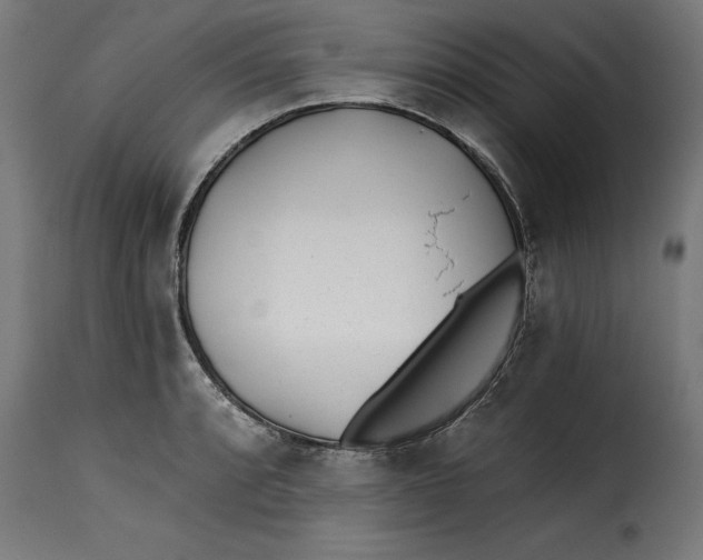 X0000115251088200911201637