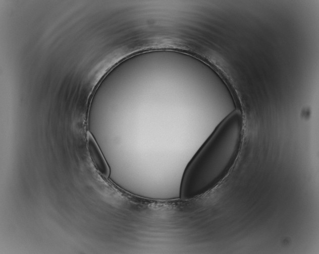 X0000115251089200911201637