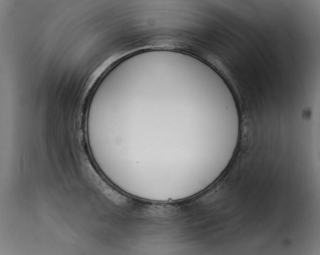 X0000115251091200911201637