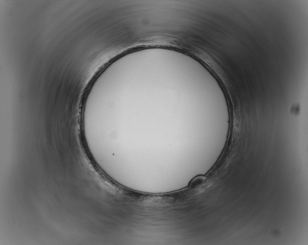 X0000115251093200911201637