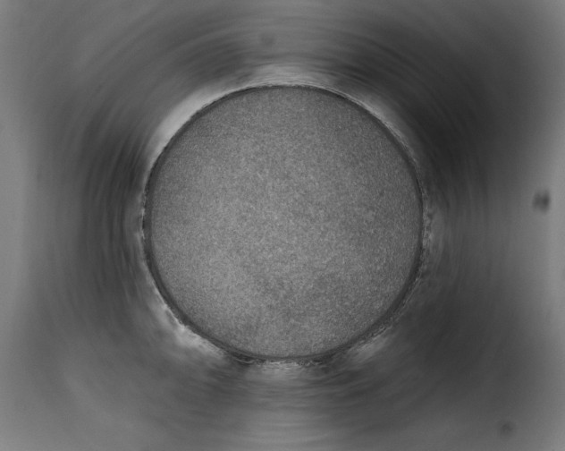 X0000115251094200911201637