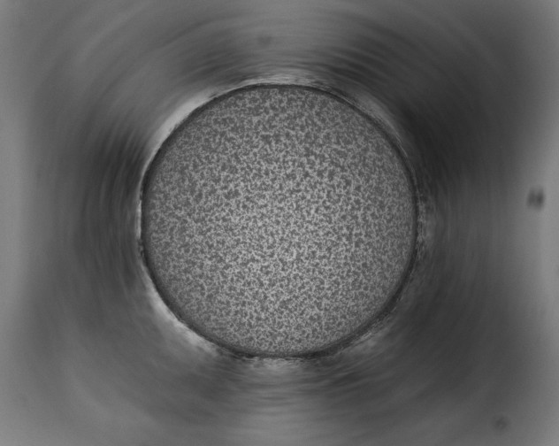 X0000115251095200911201637