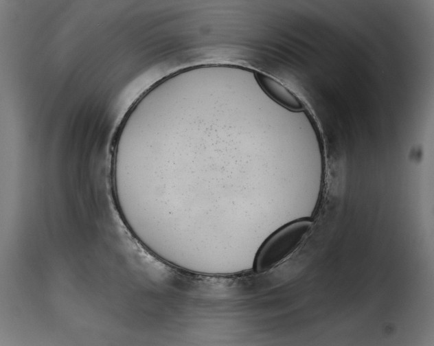 X0000115251096200911201637