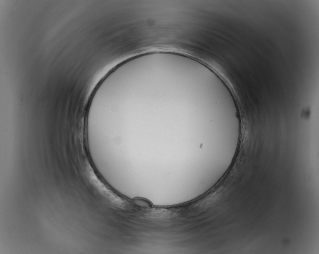 X0000115251100200911201637