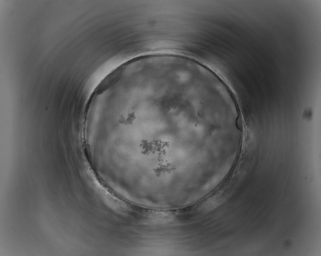 X0000115251101200911201637