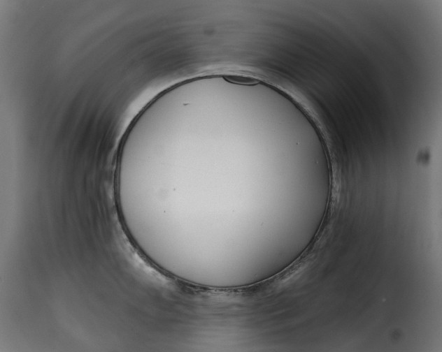 X0000115251102200911201637