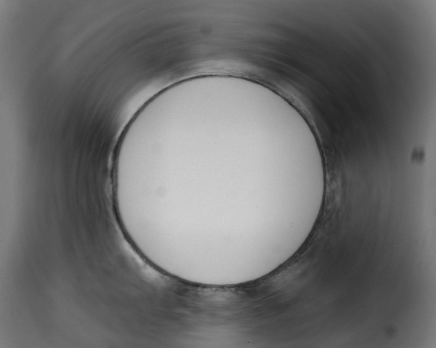 X0000115251103200911201637