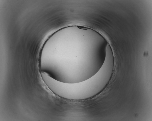 X0000115251104200911201637