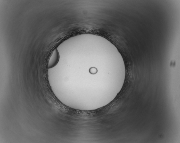 X0000115251105200911201636