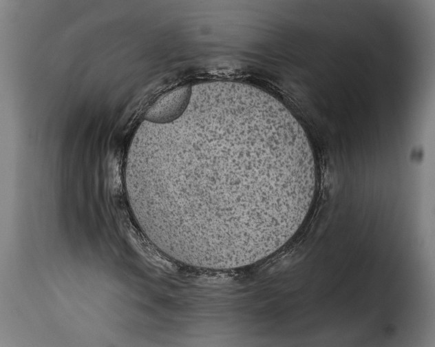 X0000115251106200911201636